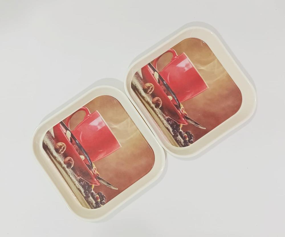 Melamine Square Plate , Pack Of 2